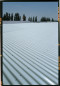 Preview: owofil® Wellplatte aus GfK - Profil 177/51 (P6) - grau